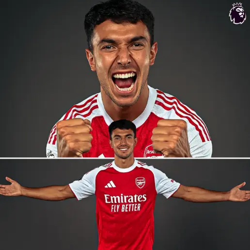 Martin Zubimendi Arsenal Martin Zubimendi Arsenal